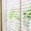 Blinds window